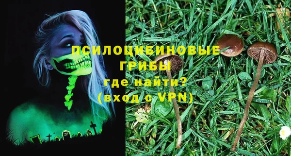 ALPHA PVP Алексеевка
