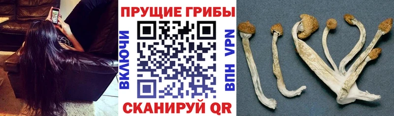 Галлюциногенные грибы прущие грибы  сколько стоит  Салехард 