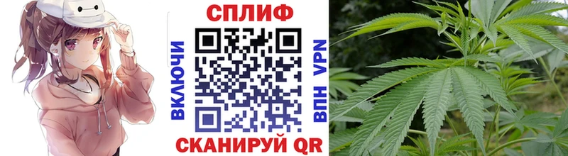 Конопля планчик  дарнет шоп  Салехард 